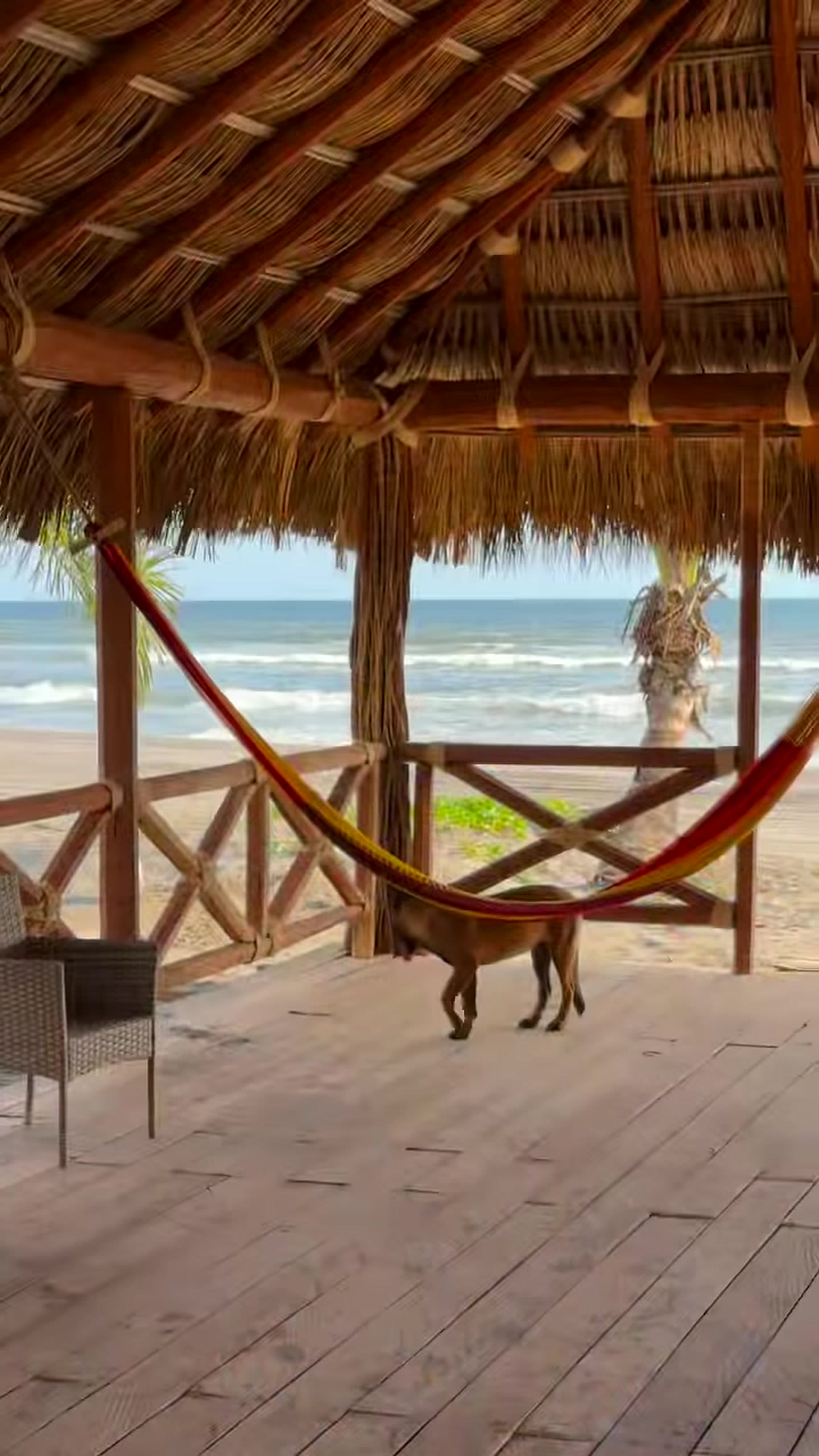 Palapa de Quinta Felisa Villas frente a la playa